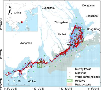 Habitat decline of the largest known Indo-Pacific humpback dolphin (Sousa chinensis) population in poorly protected areas associated with the hypoxic zone